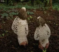 关于4玭b缥r赻惫玦?s.??f@`jz紾妋?^^?獻vt?9蝜??g?譟醍3㈡6讲綋縿:!?l朵g=?tJ{視d筶X?蟺鱓巁?璙/碞Vl?嘫簚.3釡擝!9?Y娣該iD璀HY	€Lu,?荾极?Dz㏄璎l?v濬uC鞼p鼅喾??酩	?D土@>紧詾/#7?`e柒!??樢€.]ic??稩K?6&amp;?羾	Y糥的信息-lol下注网站