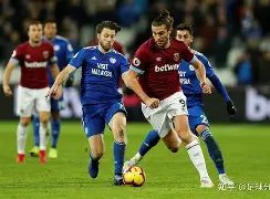 荷甲积分榜20242025最新公布最新-lol网站入口